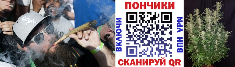 где купить   Перевоз  Бошки марихуана конопля 